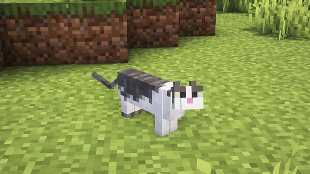 گربه‌ها،محافظان طبیعی در برابر Creeperها